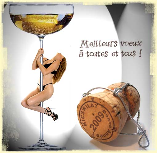 Bonne année 2009.