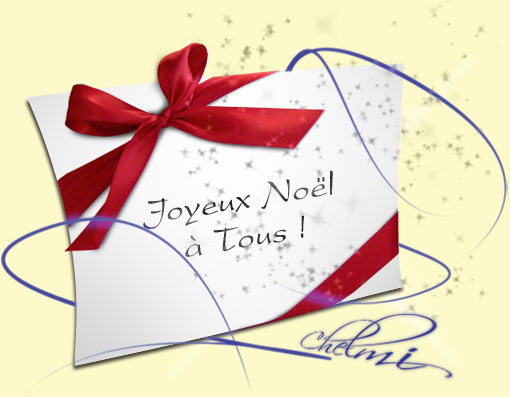 Joyeux Noël 2011.