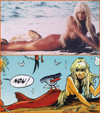 Splash selon Didier Crisse.