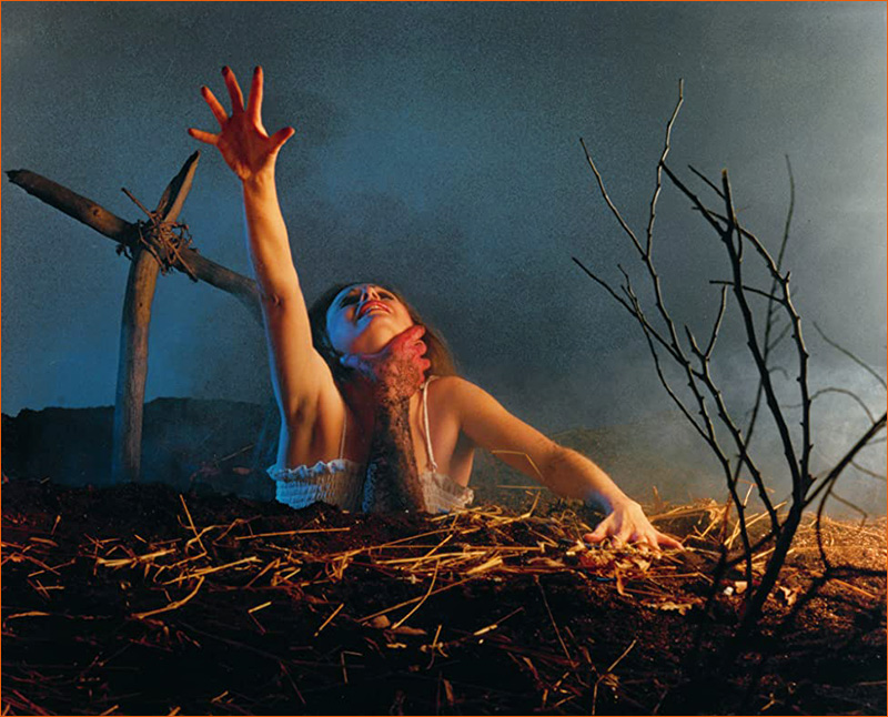 Photographie Bridget Hoffman pour l'affiche d'Evil Dead de Sam Raimi (1983).