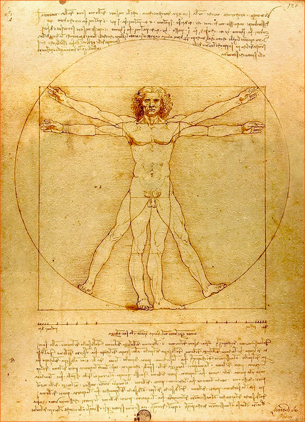 L'Homme de Vitruve de Léonard de Vinci (~1492).