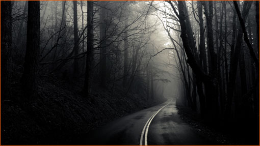 Into the Mist de Greg Martin.