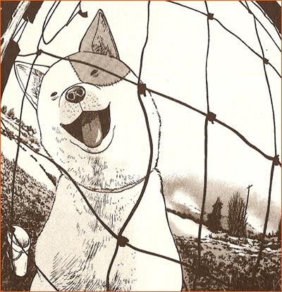 VS. selon Harold Sakuishi.